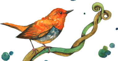 Vogels