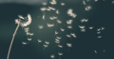 saad-chaudhry-YNM4KStg78I-unsplash
