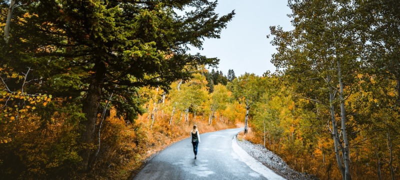 trail-M-pnbmBmU90-unsplash