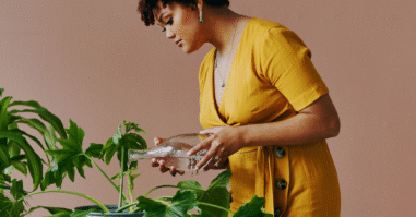 Hoe planten op ons lijken(1)