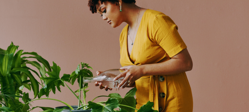 Hoe planten op ons lijken(1)