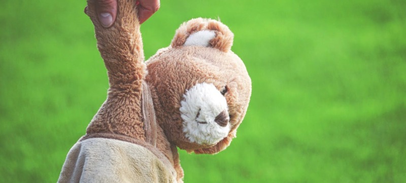 Hand die teddybeer vasthoudt als beeld bij artikel over de positieve krachten van knuffels