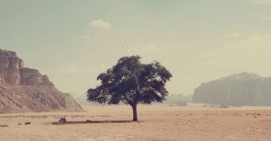 Slow cinema