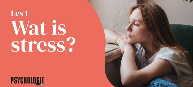 Les-1-wat-is-stress