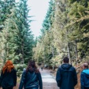 Groep mensen die wandelt in de natuur