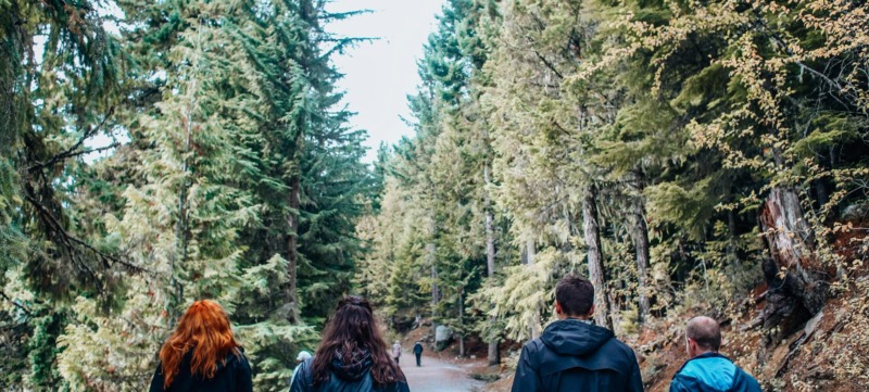 Groep mensen die wandelt in de natuur