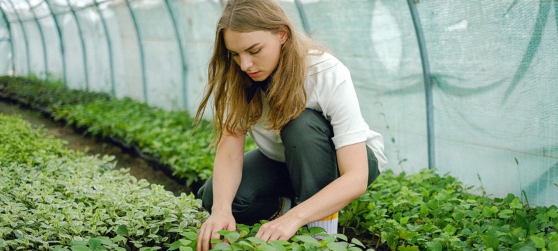 Vrouw die aan het tuinieren is