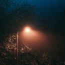 nacht