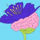 neurodivergentie