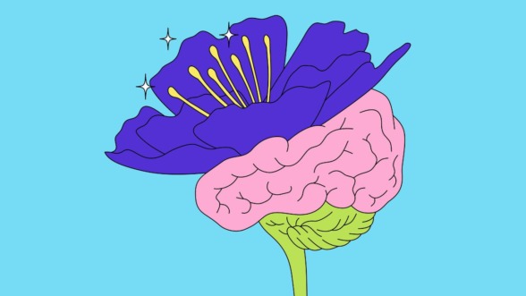 neurodivergentie