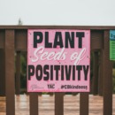 quote over positiviteit