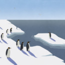 Illustratie van pinguins op een stuk ijs, en een enkele pinguin op een ander stuk ijs.