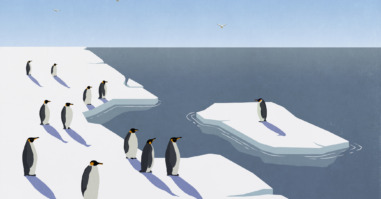 Illustratie van pinguins op een stuk ijs, en een enkele pinguin op een ander stuk ijs.