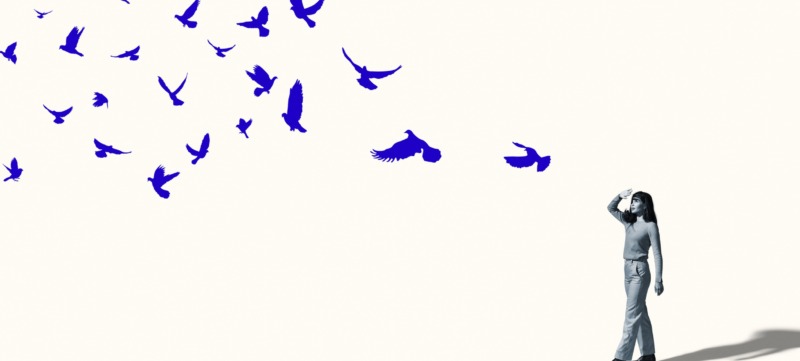 illustratie van een meisje met vogels bij een artikjel over de tiktok-trend bird theory