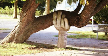 Boom die steunt op een een hand