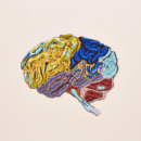 een illustratie van een brein