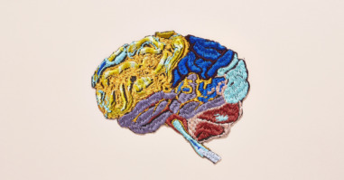 een illustratie van een brein