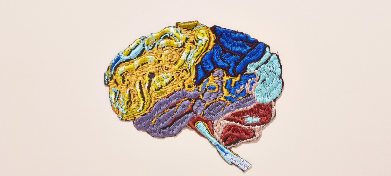 een illustratie van een brein