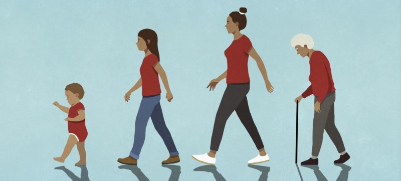 illustratie van verschillende generaties vrouwen in een familie