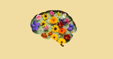 neurodiversiteit-term