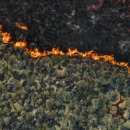 foto van een bosbrand