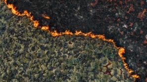 foto van een bosbrand