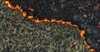 foto van een bosbrand