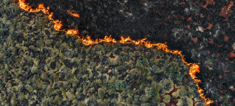 foto van een bosbrand