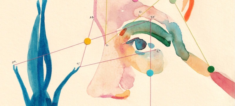 illustratie bij artikel