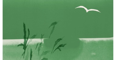 illustratie van een rustige natuuromgeving