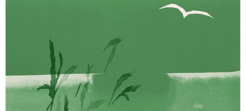 illustratie van een rustige natuuromgeving