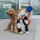 persoon met haar twee huisdieren