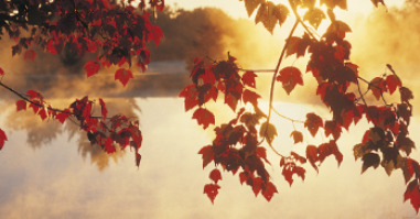 11447_herfst-348×252