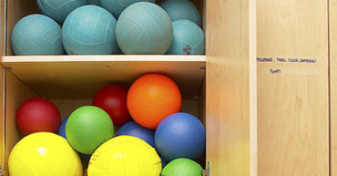 12790_ballen