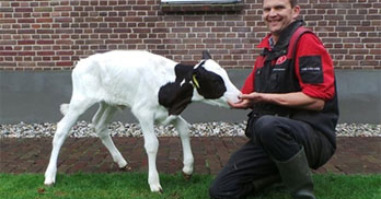 12902_boerwillemzoektvrouw348x252