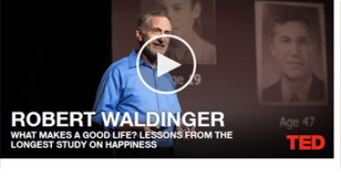 14052_TedtalkRobertWaldinger348x252