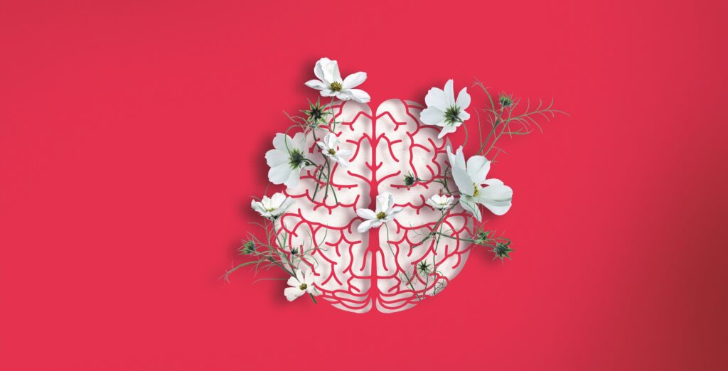 Zo ontwikkelt het brein zich door het leven heen - Psychologie Magazine