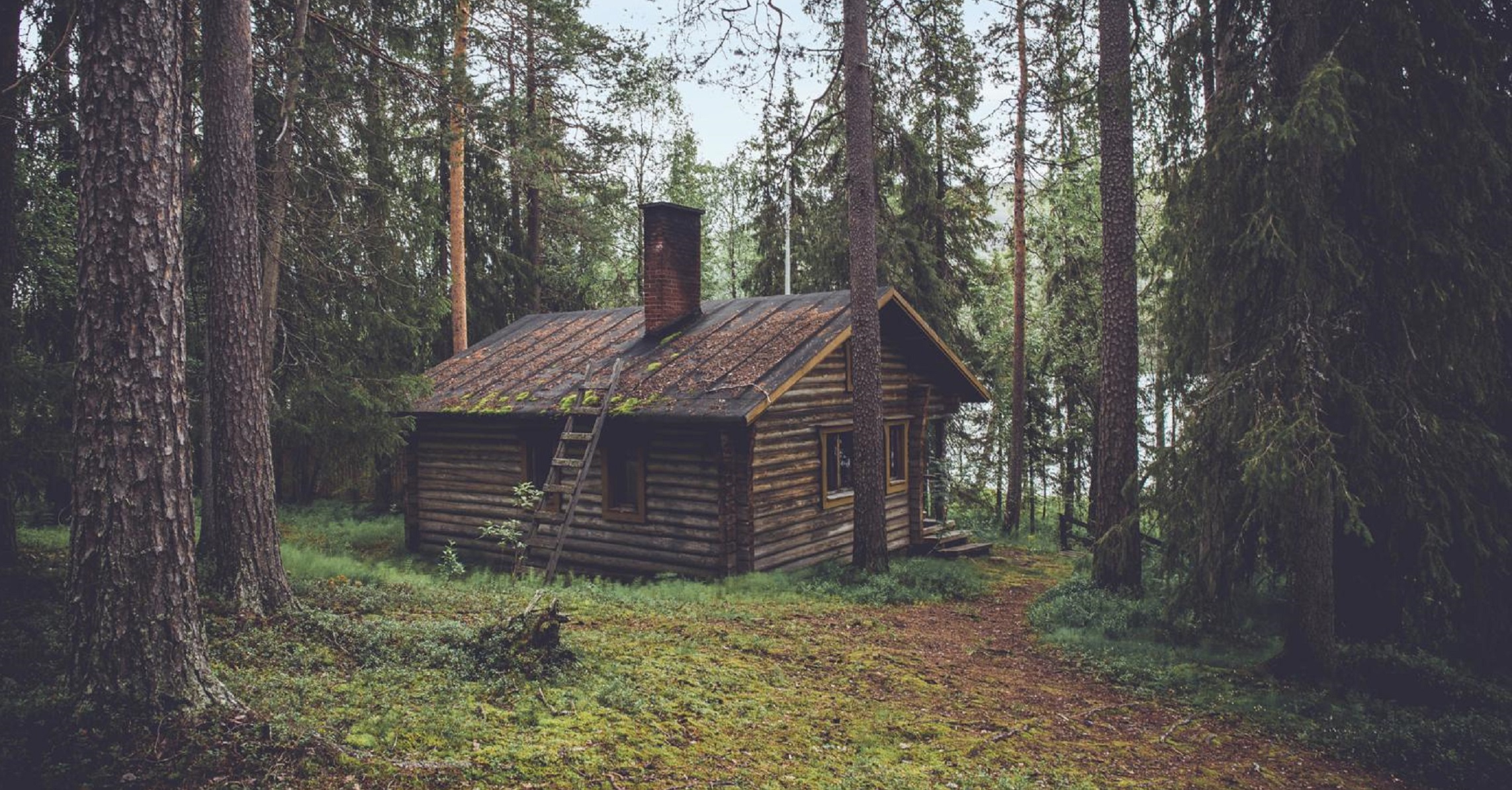 Лесная избушка