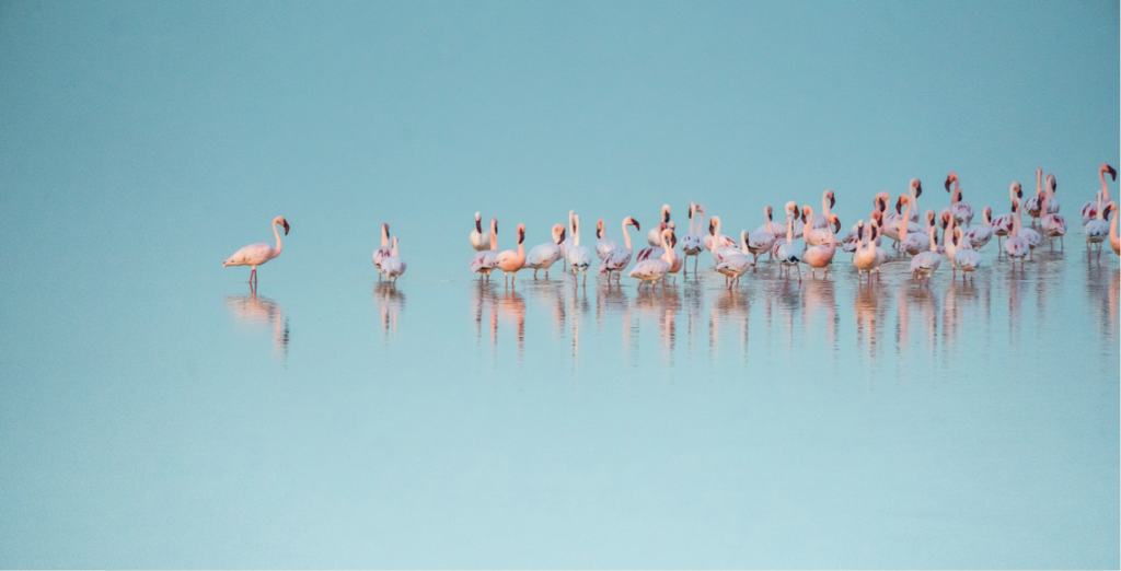 Ik ben net als jij - Psychologie Magazine