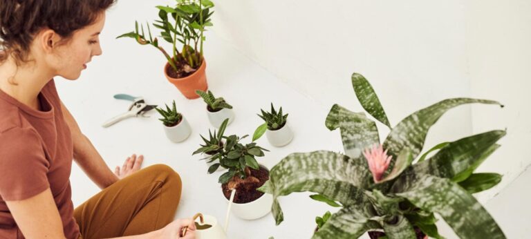 Mindful leven: oefeningen voor elke dag