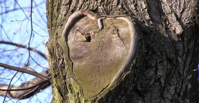 Hoe verder na het overlijden van mijn moeder? - Psychologie Magazine