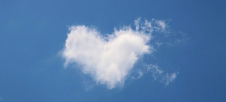 seks zonder liefde