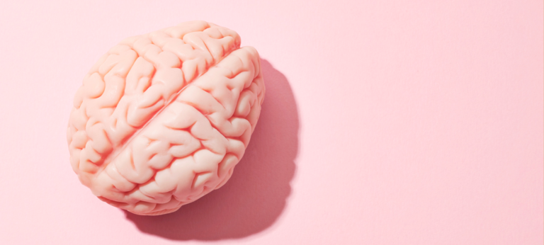 Waarom onderwijs slecht aansluit bij het kinderbrein