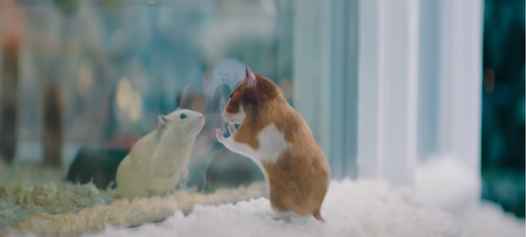 Waarom kerstcommercials ons raken