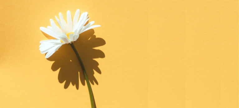 5 mensen over hun aseksualiteit – ‘Seks? Nee, bedankt’