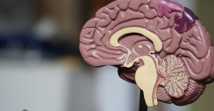 Hoe kom ik erachter wat ik wil? - Psychologie Magazine
