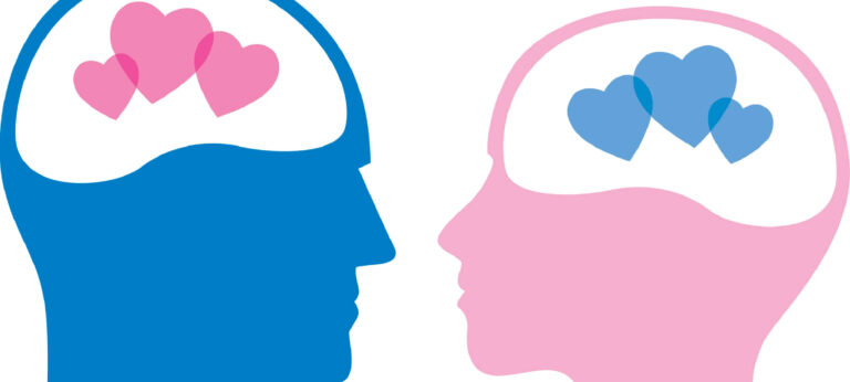 verliefdheid: vlinders in het brein